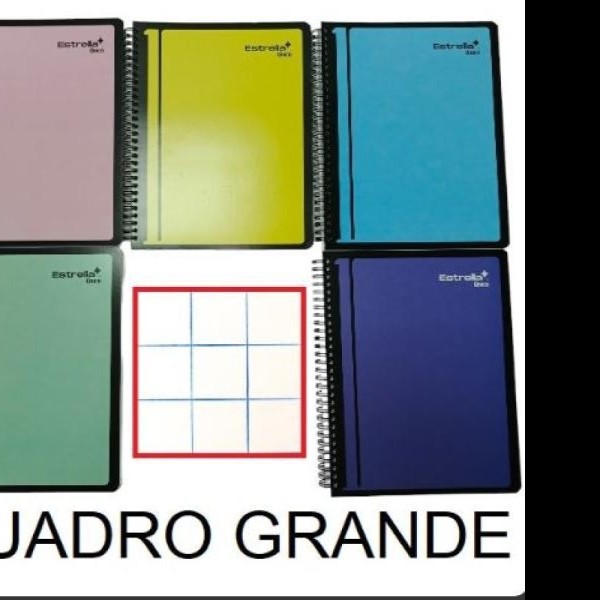 CUADERNO PROF.UNICO ESTRELLA 717 C7 100H. C.25